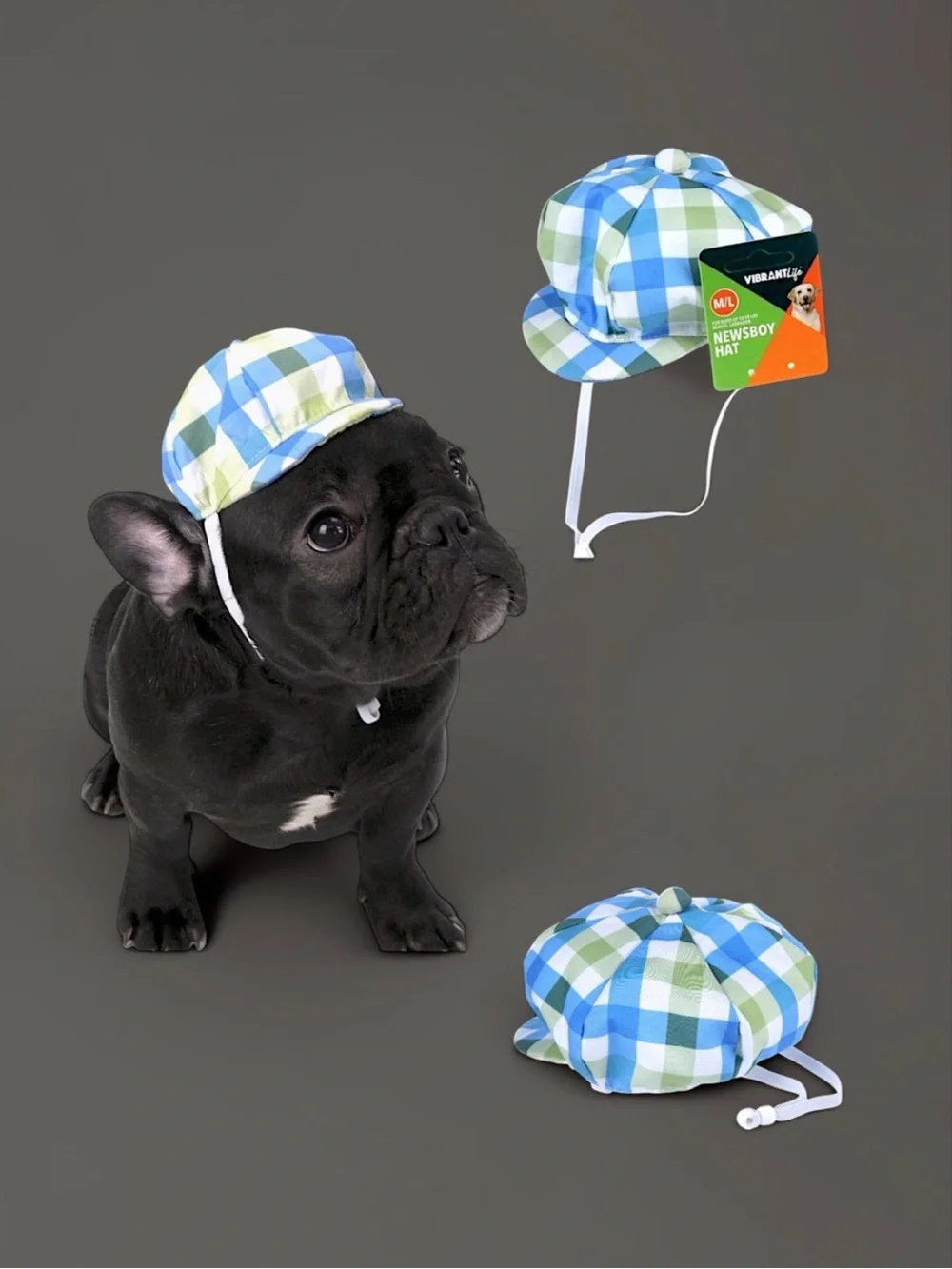 Vibrant Life Plaid Newsboy Hat